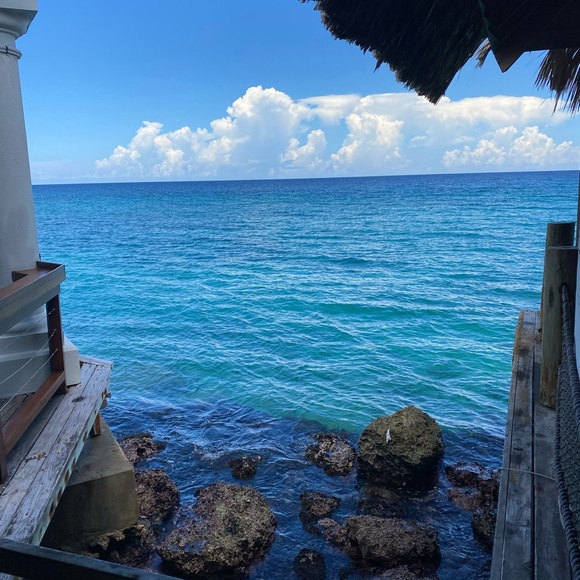 Meet your Posher, Kelly - Picture 1 of 1